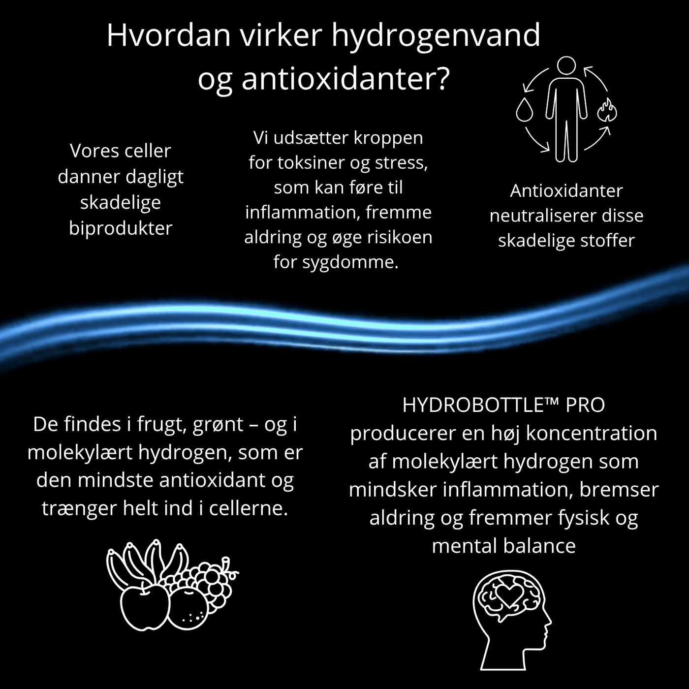 HydroBottle™ Pro