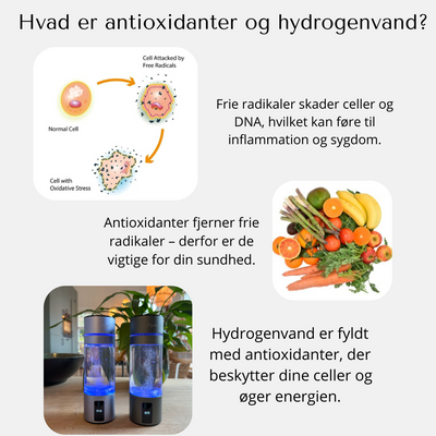 HydroBottle™ Pro